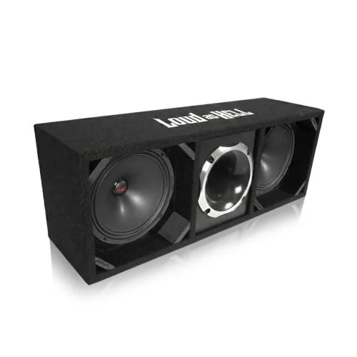 Endast idag 2x10" VO-M210-S4 Pro låda med Terror Horn