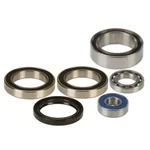 Expressleverans Lagersats Drivaxel (Arctic Cat CFR/F/M/TZ1/Z1 '09-11)