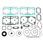 Packningssats (Rotax 800R E-TEC) Extra rabatt